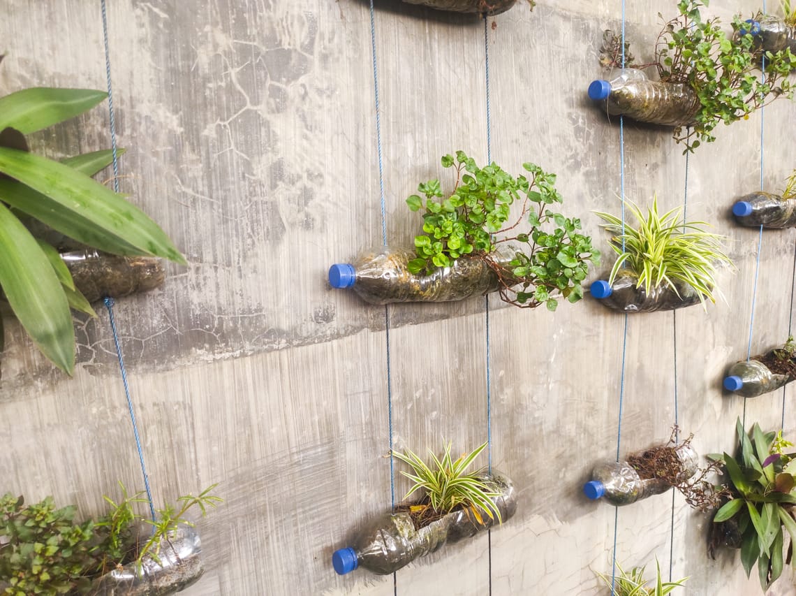 Cum să începi să fii eco-friendly: stil de viață mai conștient check list