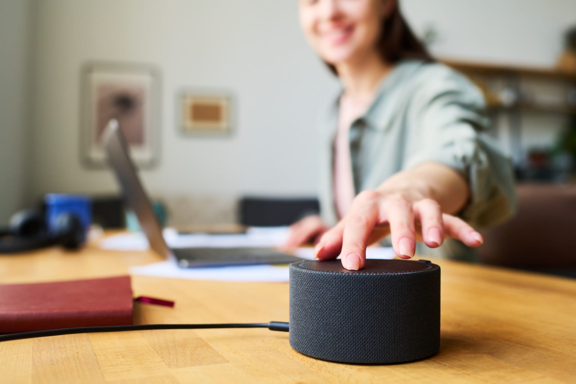 Introducere în Smart Homeală